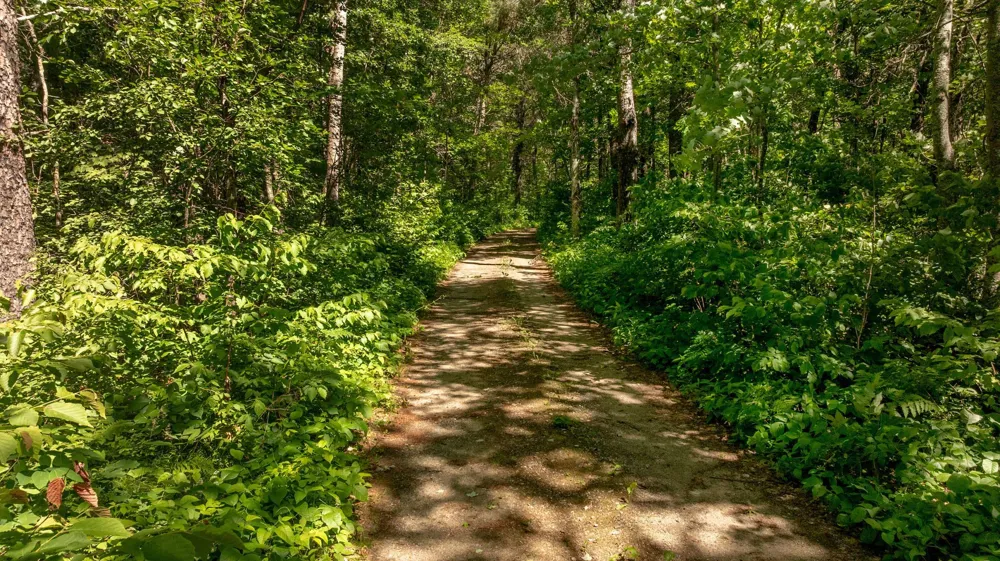 11027 Oak Point Road NW Cass Lake, MN 56633