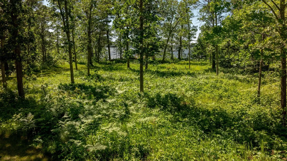 11027 Oak Point Road NW Cass Lake, MN 56633
