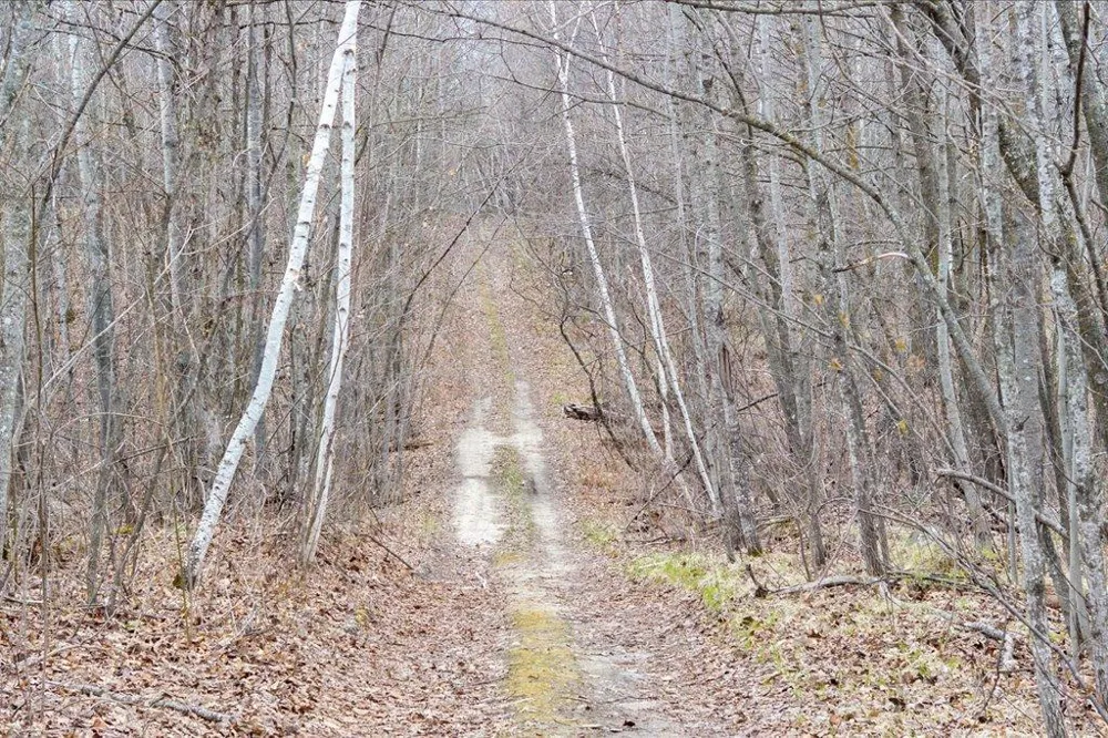 TBD Kestrel Trail NW Hackensack, MN 56452