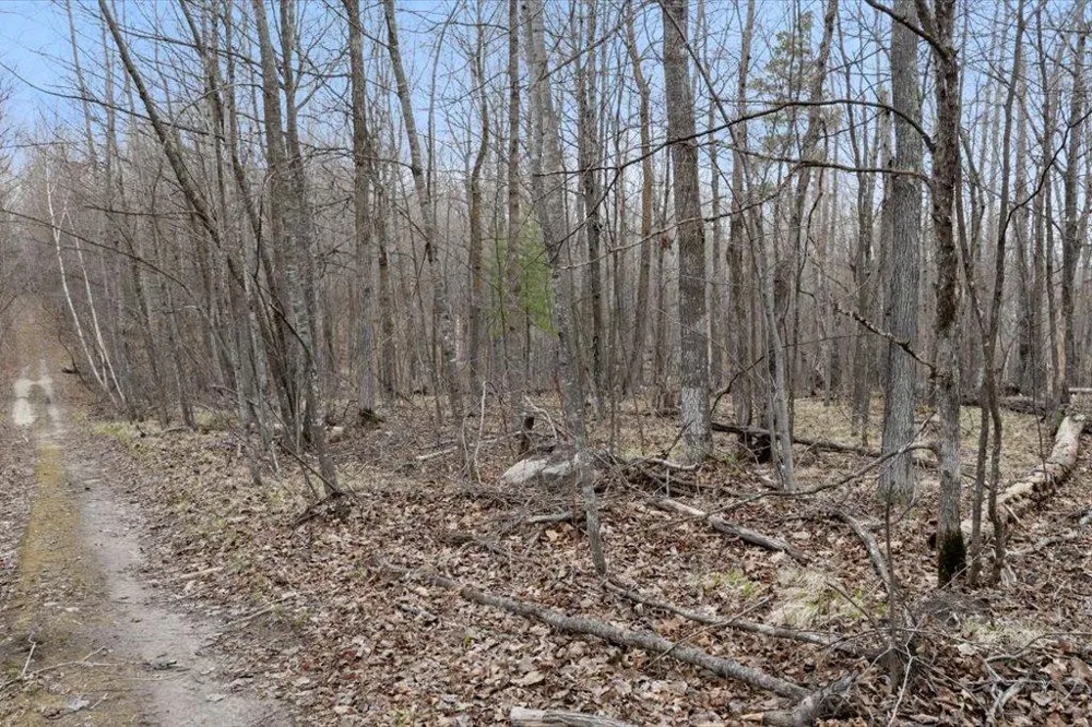 TBD Kestrel Trail NW Hackensack, MN 56452