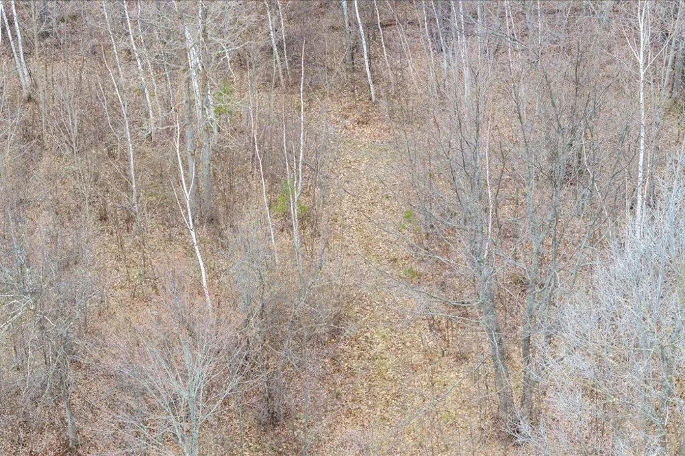TBD Kestrel Trail NW Hackensack, MN 56452