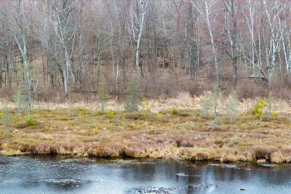 TBD Kestrel Trail NW Hackensack, MN 56452