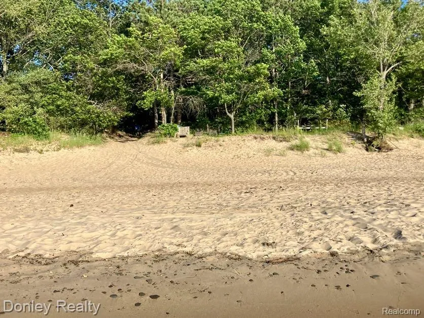 977 Port Austin Road Port Austin Township, MI 48467