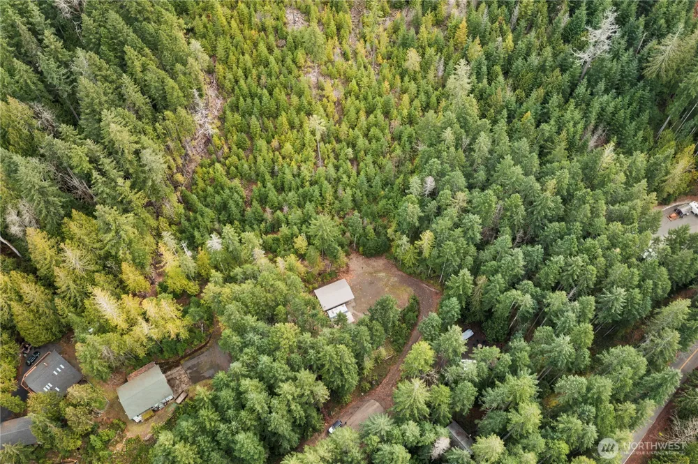 61 Dow Court Hoodsport, WA 98548