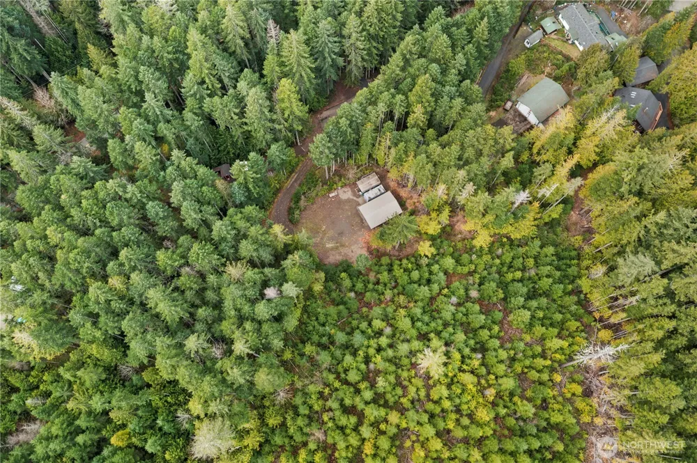 61 Dow Court Hoodsport, WA 98548