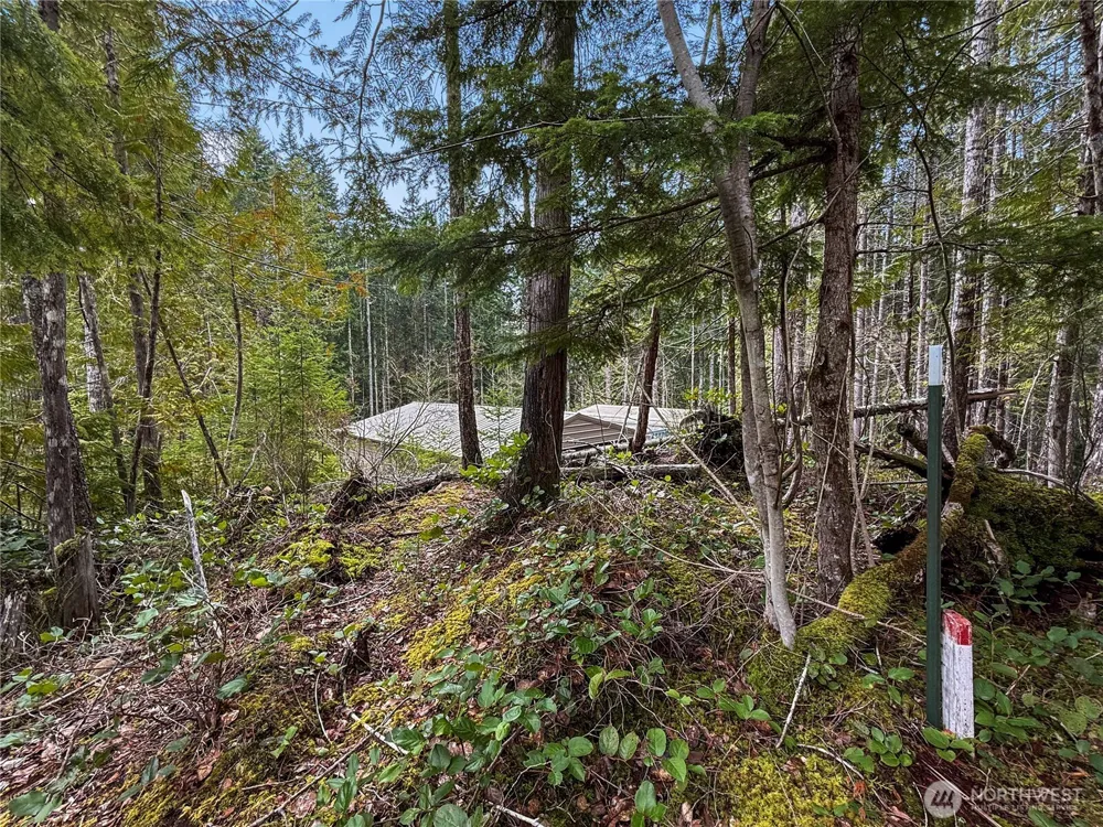 61 Dow Court Hoodsport, WA 98548