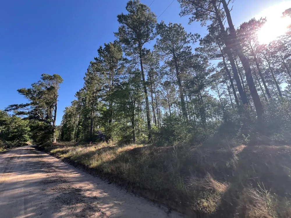 8 Fountain Creek Road Groveton, TX 75845