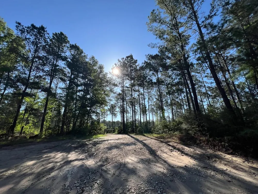 8 Fountain Creek Road Groveton, TX 75845