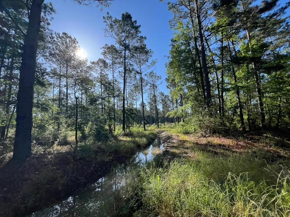 8 Fountain Creek Road Groveton, TX 75845