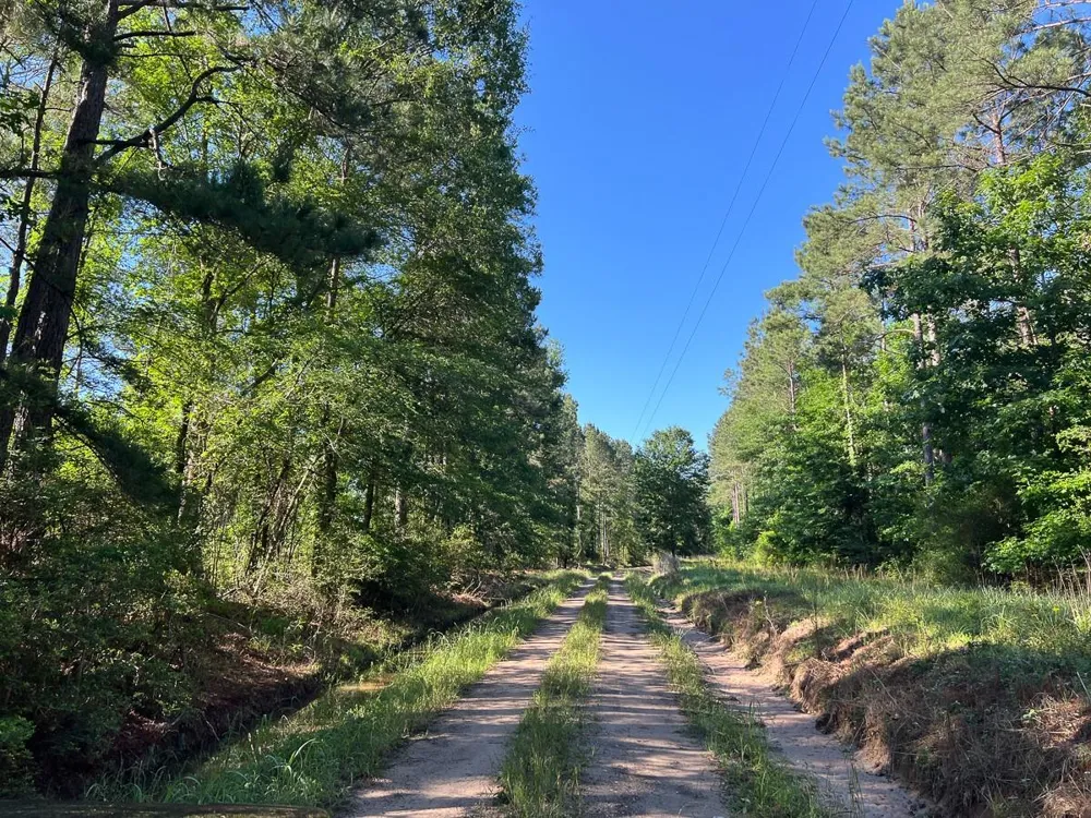 8 Fountain Creek Road Groveton, TX 75845