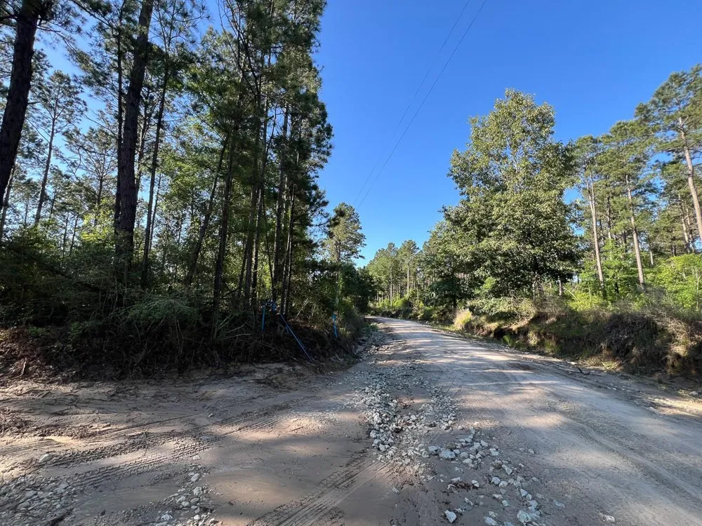8 Fountain Creek Road Groveton, TX 75845