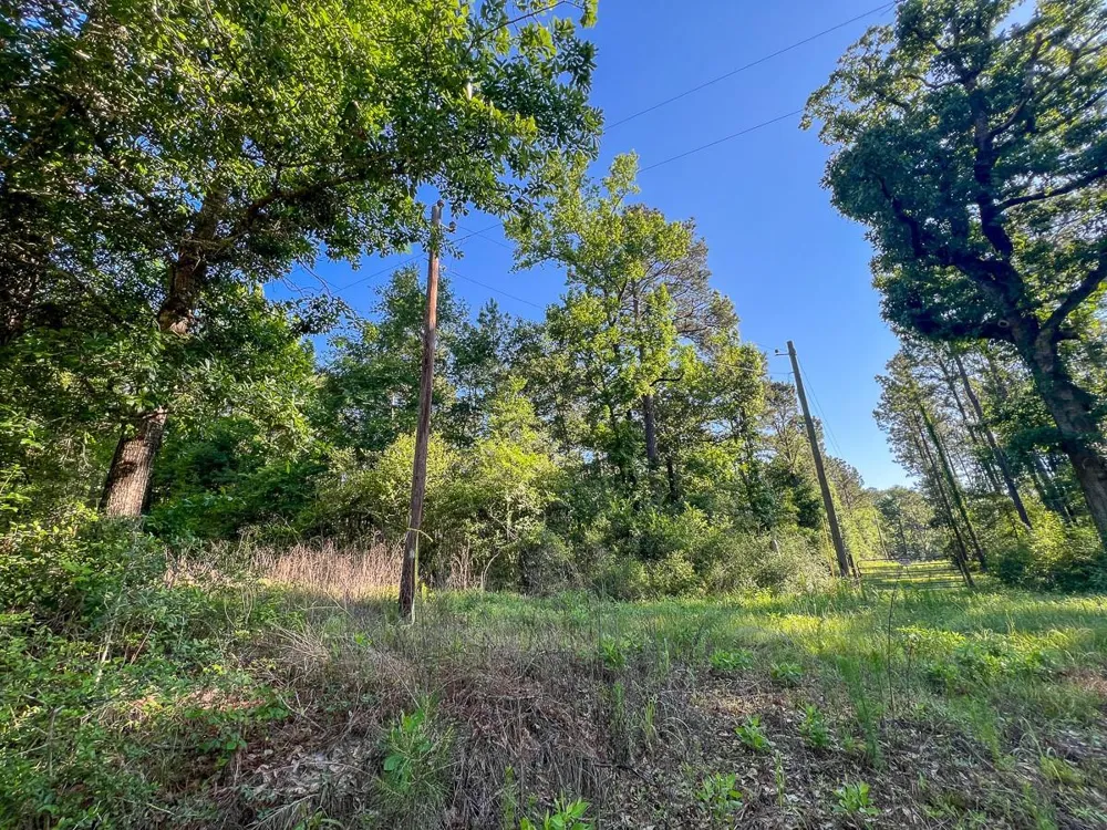 8 Fountain Creek Road Groveton, TX 75845