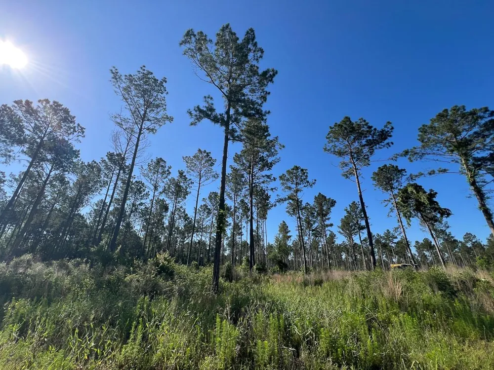 8 Fountain Creek Road Groveton, TX 75845