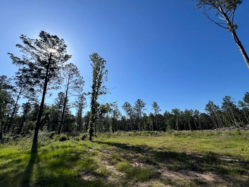 8 Fountain Creek Road Groveton, TX 75845
