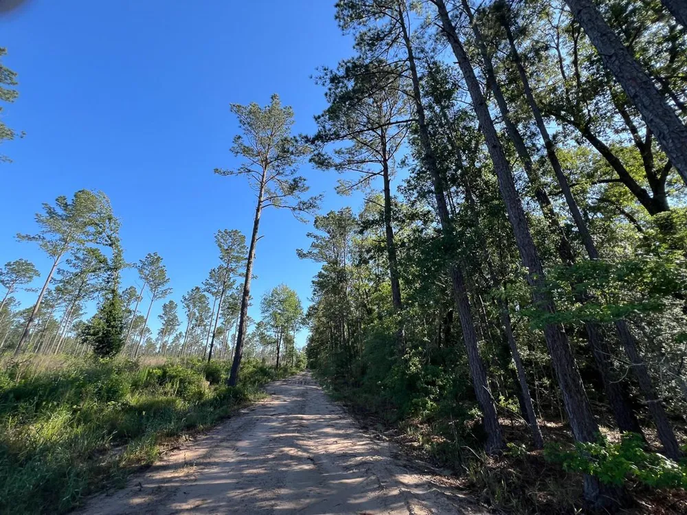 8 Fountain Creek Road Groveton, TX 75845