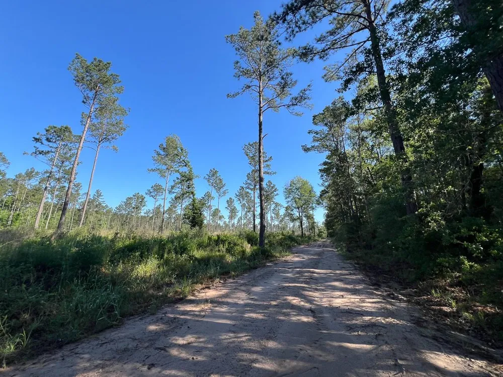 8 Fountain Creek Road Groveton, TX 75845