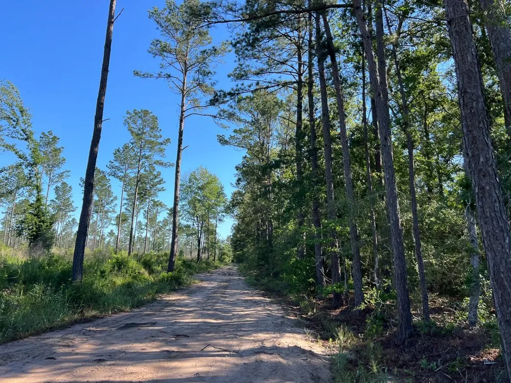 8 Fountain Creek Road Groveton, TX 75845