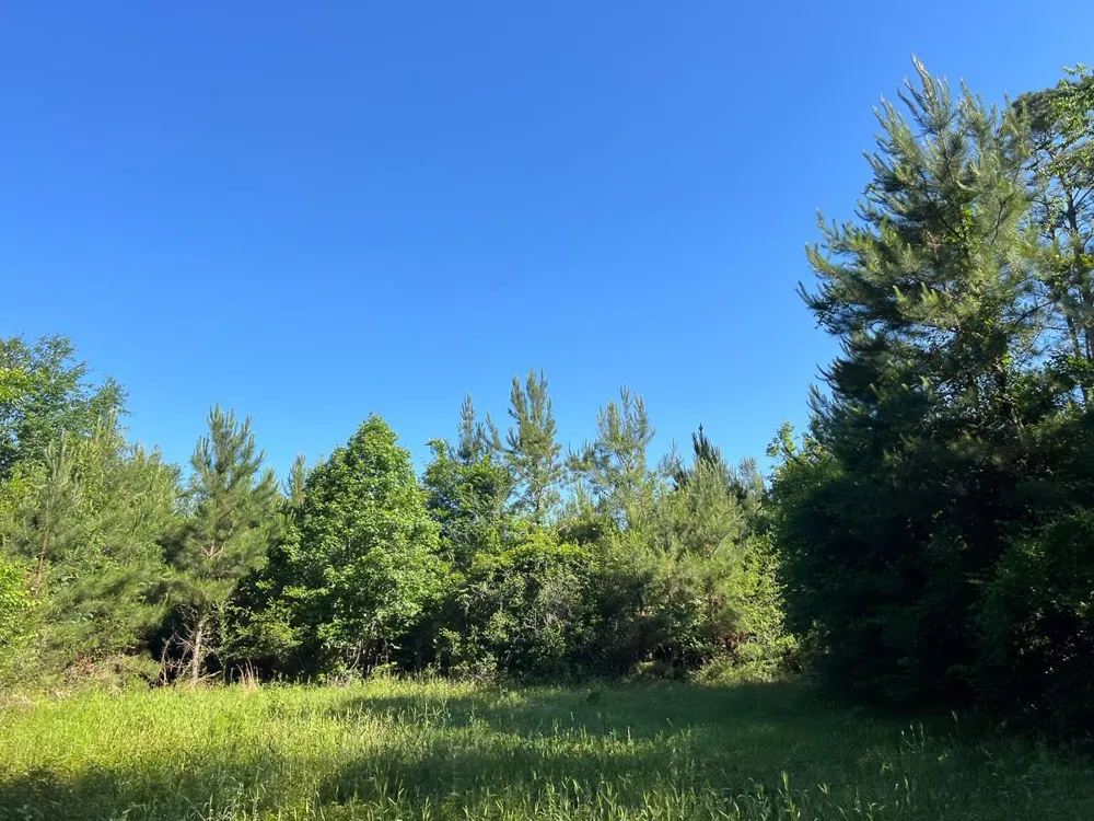 8 Fountain Creek Road Groveton, TX 75845