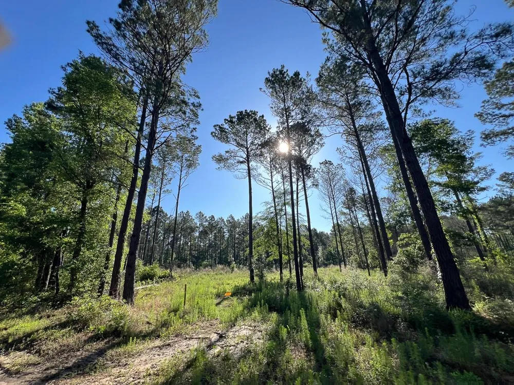 8 Fountain Creek Road Groveton, TX 75845