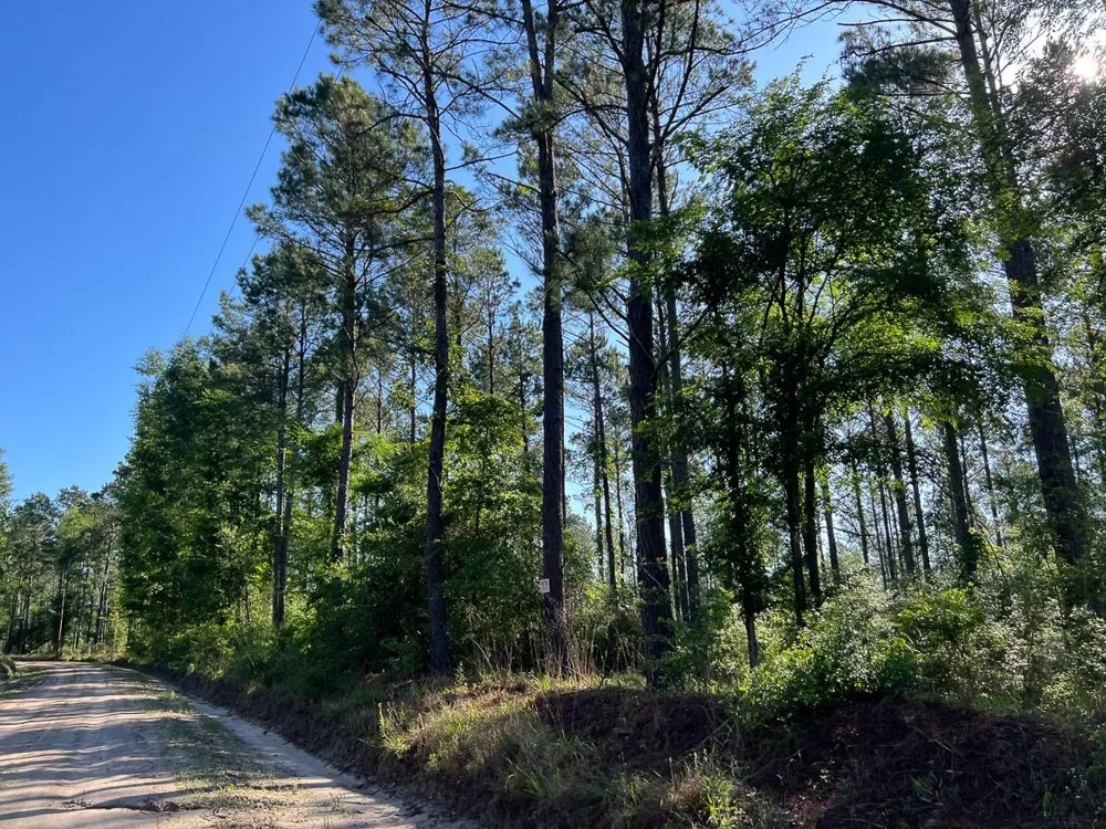 8 Fountain Creek Road Groveton, TX 75845