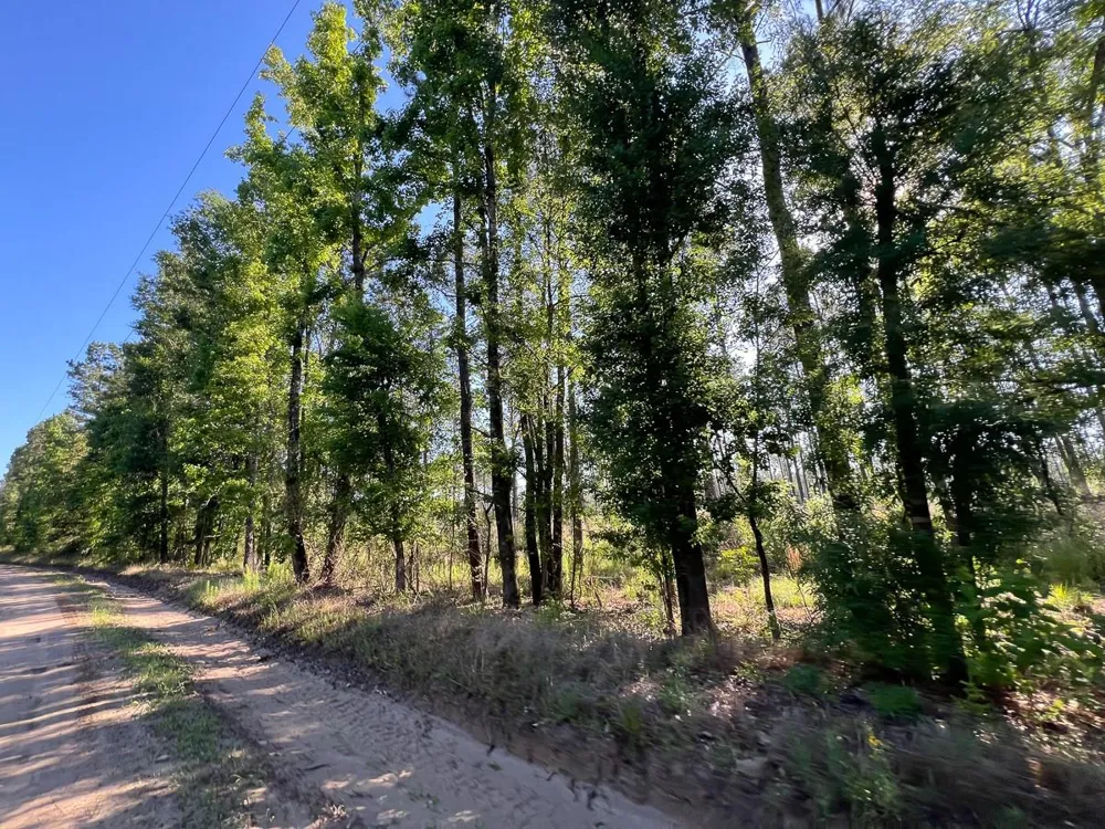 8 Fountain Creek Road Groveton, TX 75845