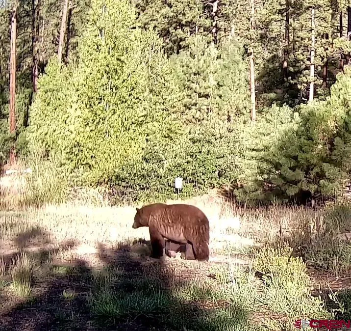 County Rd. 240 Durango, CO 81301