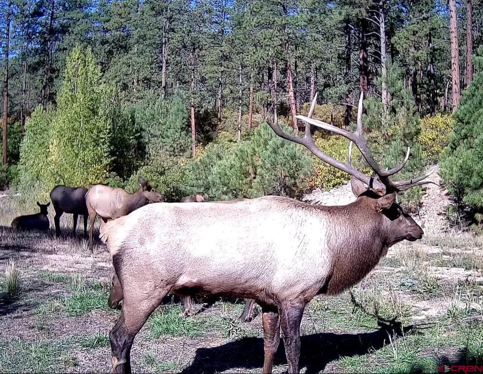 County Rd. 240 Durango, CO 81301