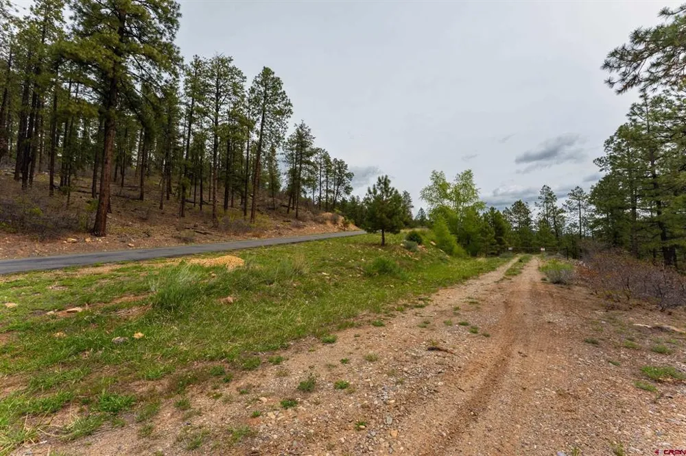 County Rd. 240 Durango, CO 81301