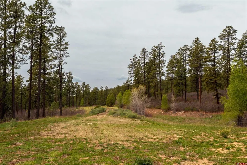 County Rd. 240 Durango, CO 81301
