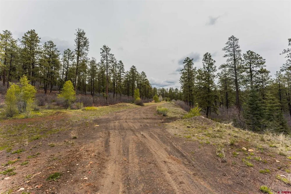 County Rd. 240 Durango, CO 81301
