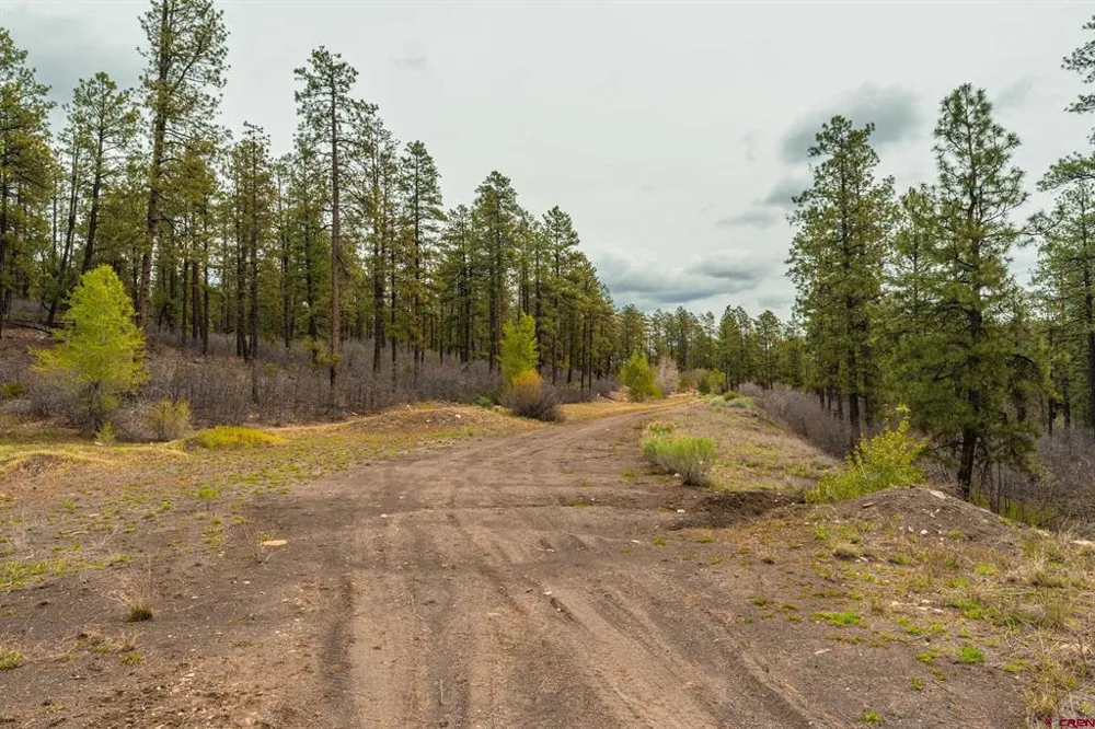 County Rd. 240 Durango, CO 81301