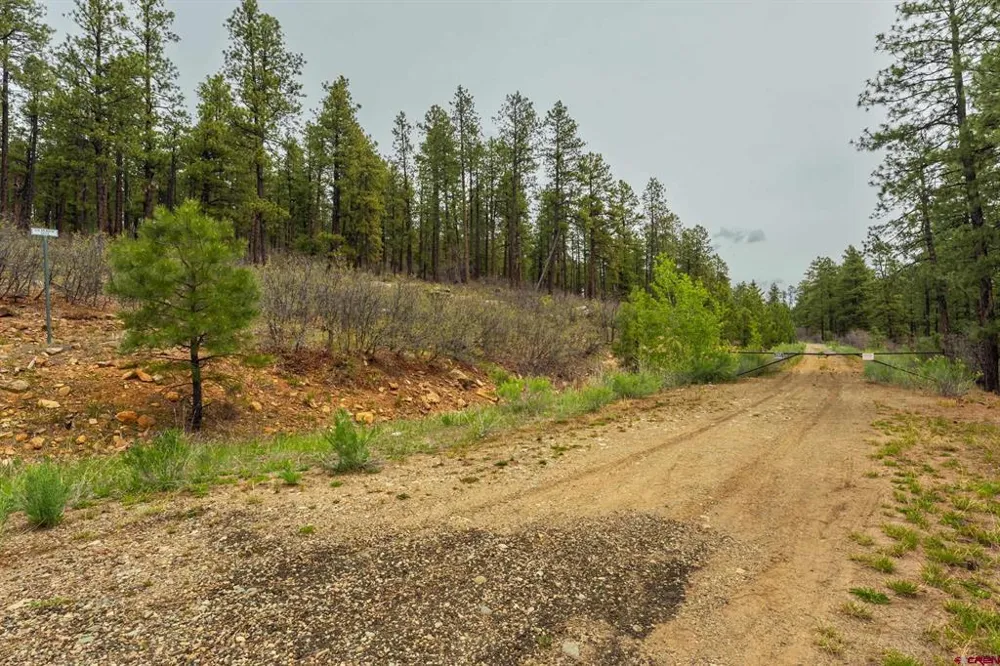 County Rd. 240 Durango, CO 81301
