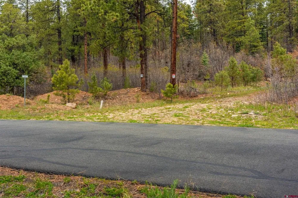 County Rd. 240 Durango, CO 81301