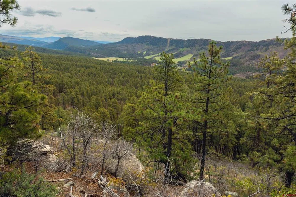 County Rd. 240 Durango, CO 81301