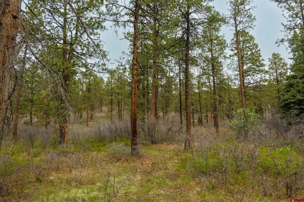 County Rd. 240 Durango, CO 81301