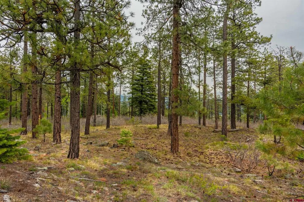 County Rd. 240 Durango, CO 81301