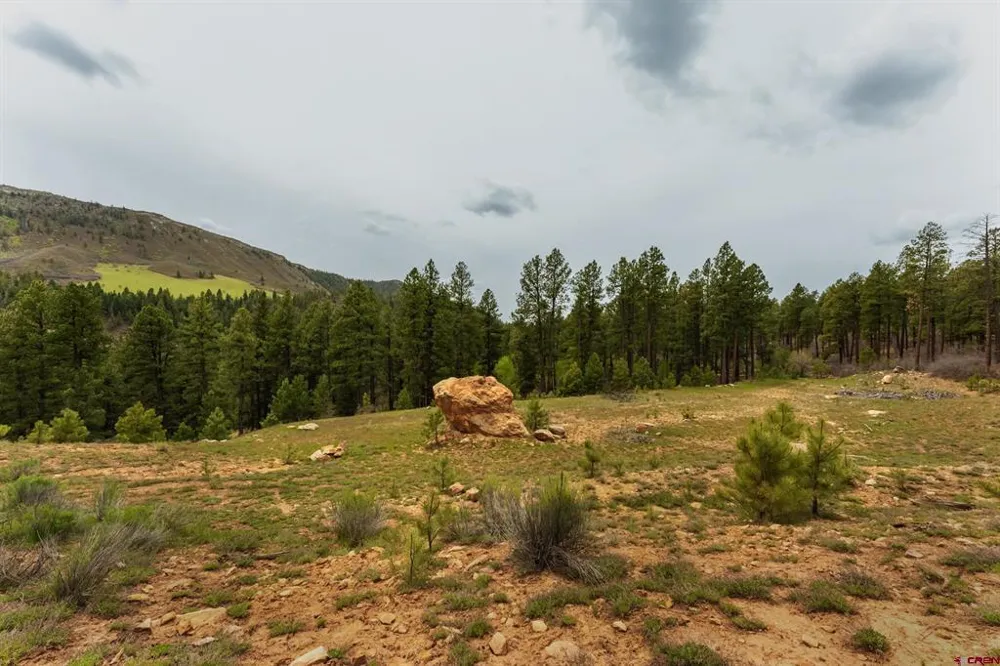 County Rd. 240 Durango, CO 81301