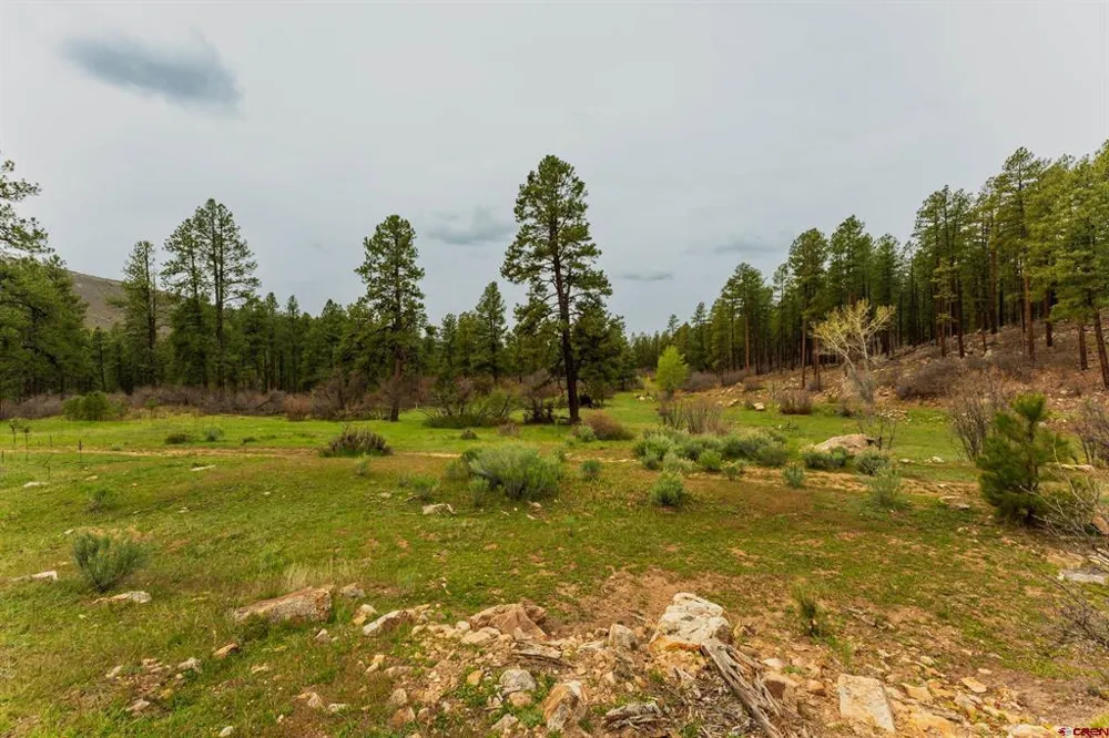 County Rd. 240 Durango, CO 81301