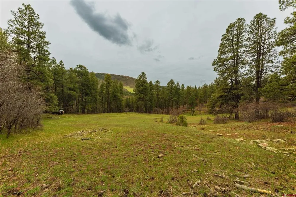 County Rd. 240 Durango, CO 81301