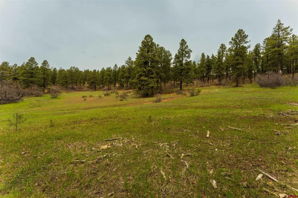 County Rd. 240 Durango, CO 81301
