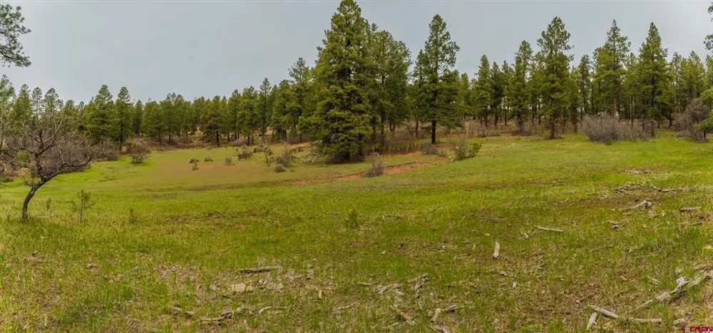 County Rd. 240 Durango, CO 81301