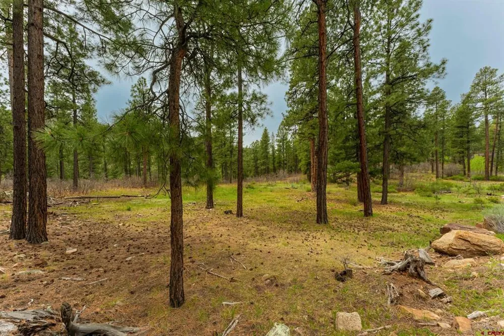County Rd. 240 Durango, CO 81301