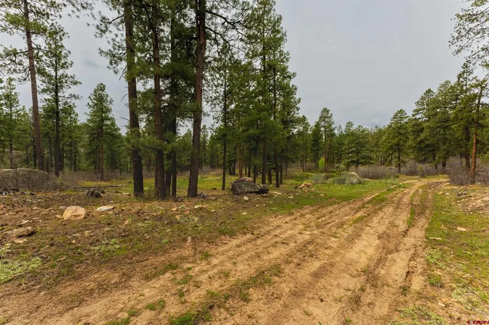 County Rd. 240 Durango, CO 81301