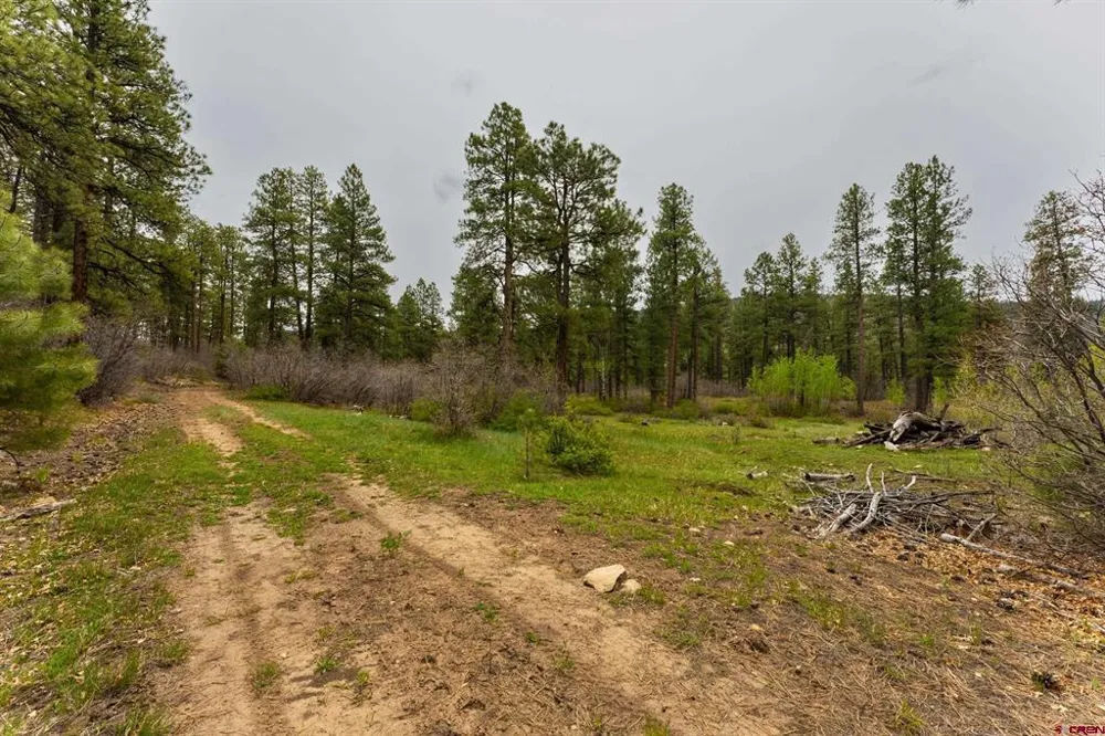 County Rd. 240 Durango, CO 81301