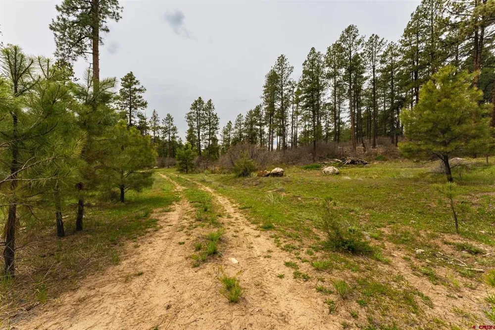 County Rd. 240 Durango, CO 81301