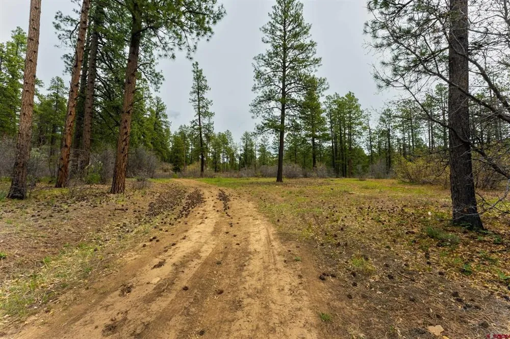County Rd. 240 Durango, CO 81301