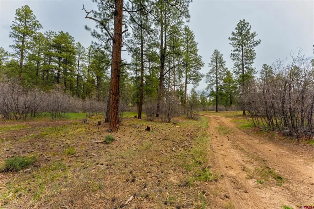 County Rd. 240 Durango, CO 81301