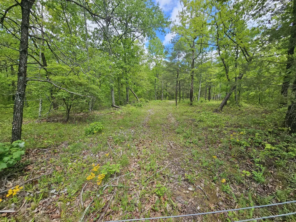 488 Hunters Trail Way Altamont, TN 37301