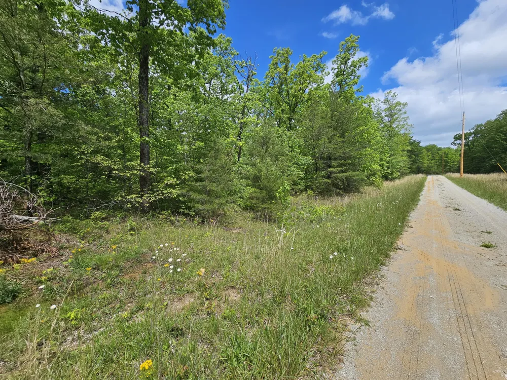 488 Hunters Trail Way Altamont, TN 37301