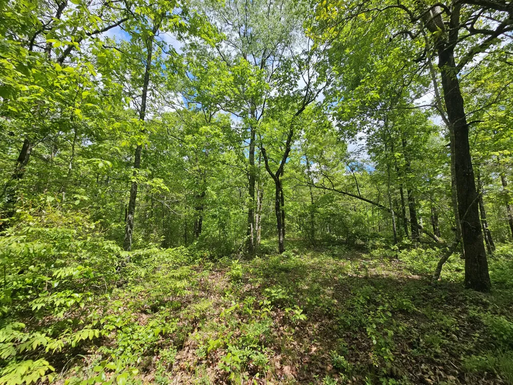 488 Hunters Trail Way Altamont, TN 37301